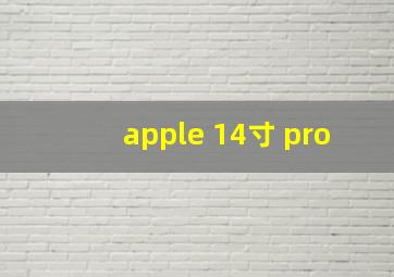 apple 14寸 pro